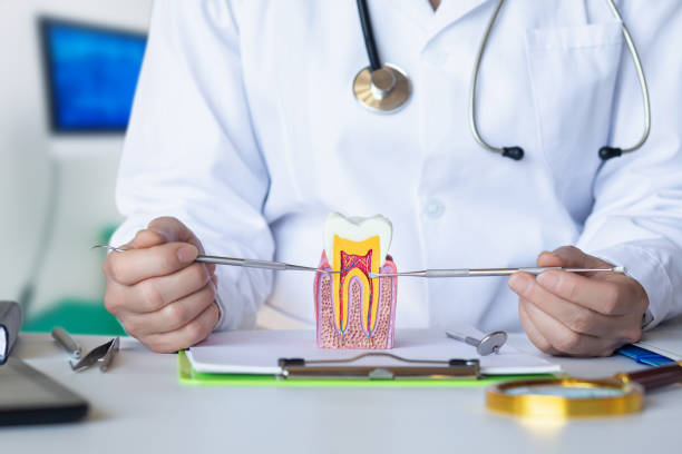 Best Emergency TMJ Treatment in Meyers, CA